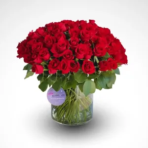 The Love & Bonding - 80 Rose