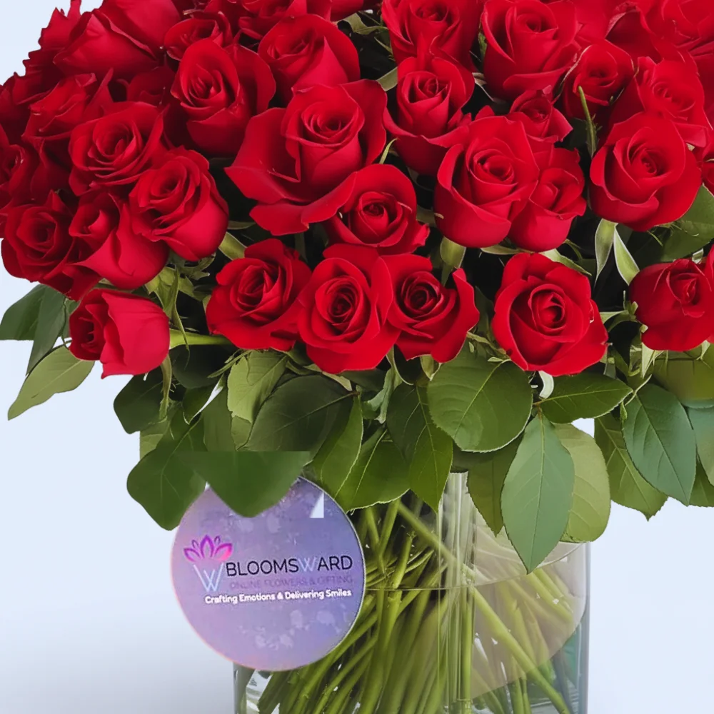 The Love & Bonding - 80 Rose