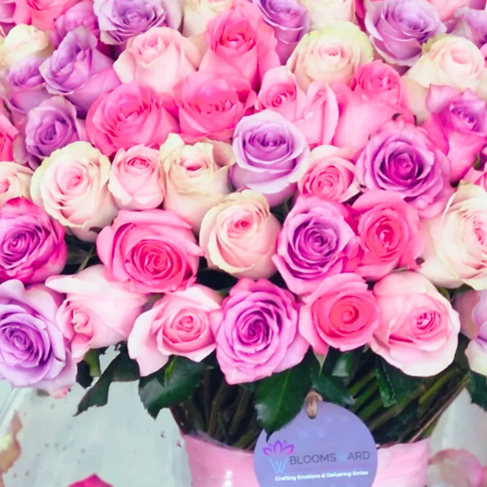 Song of Nature - 230 Mix Roses