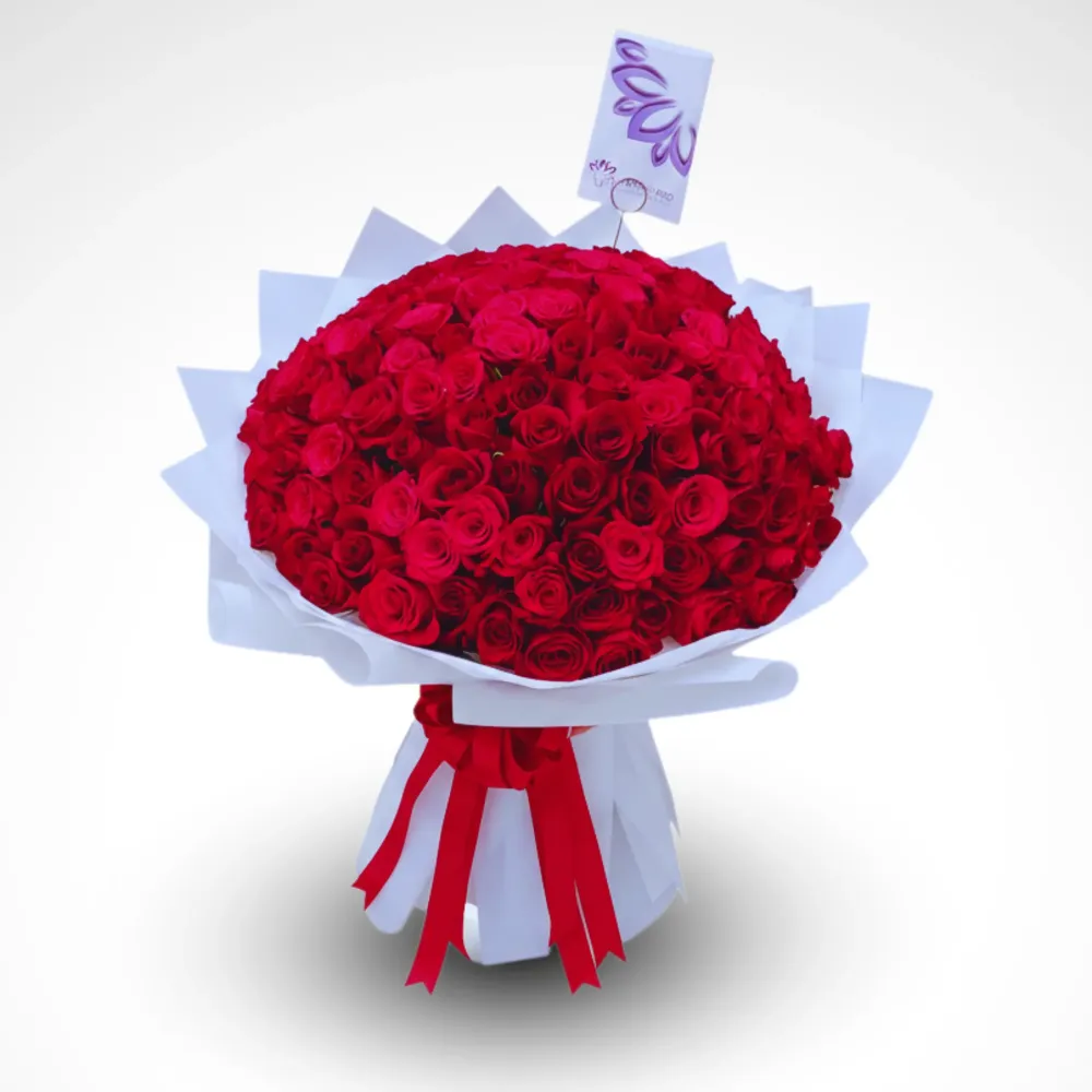 Paint In Red - 150 Rose