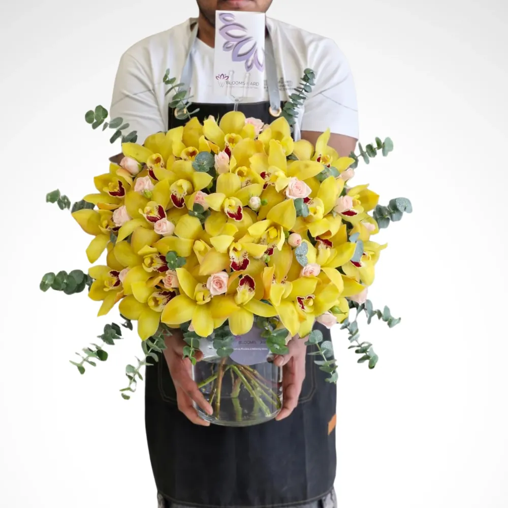 Yellow Cymbidium Flare