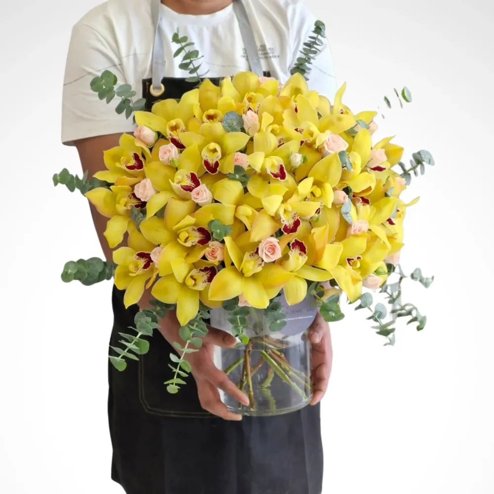 Yellow Cymbidium Flare