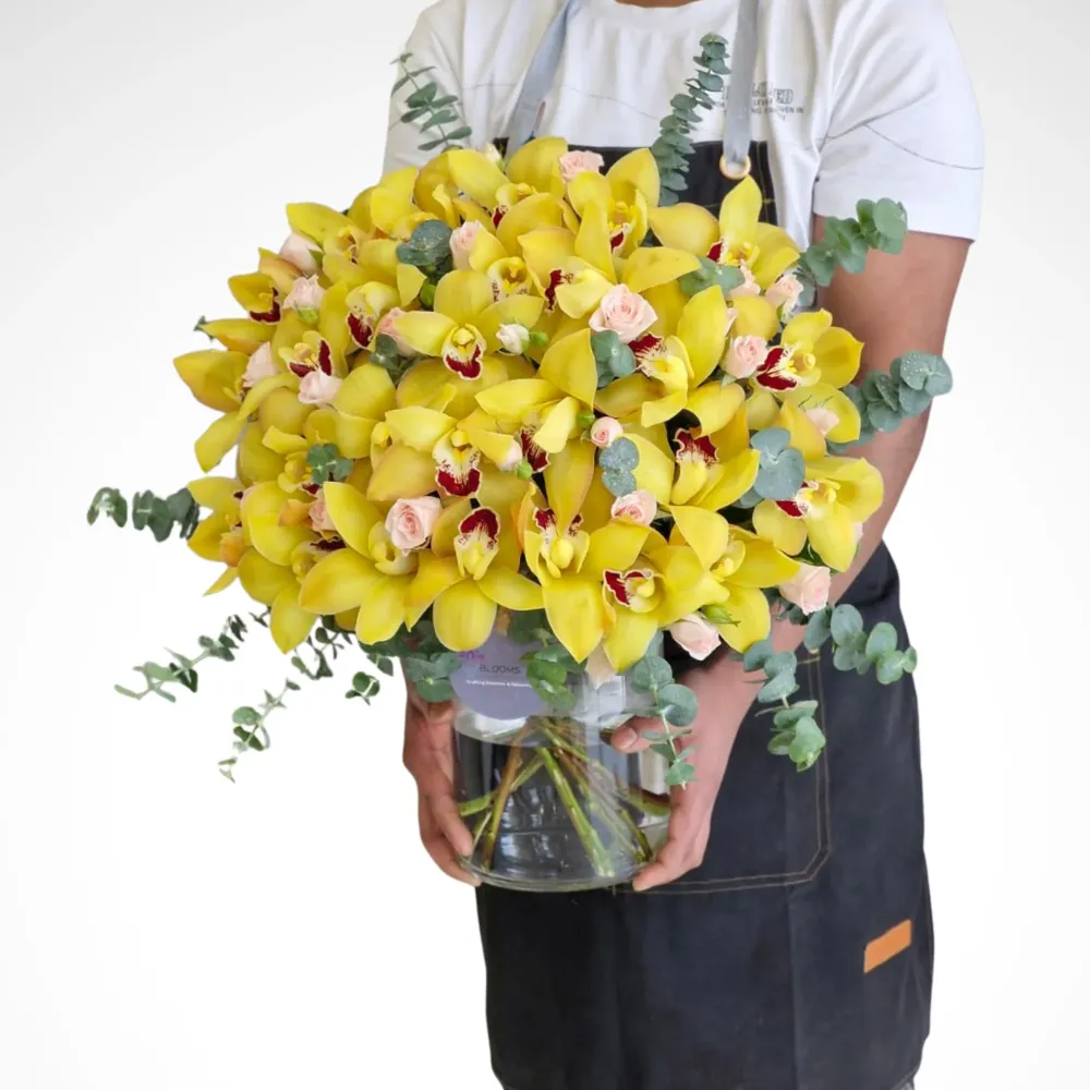 Yellow Cymbidium Flare