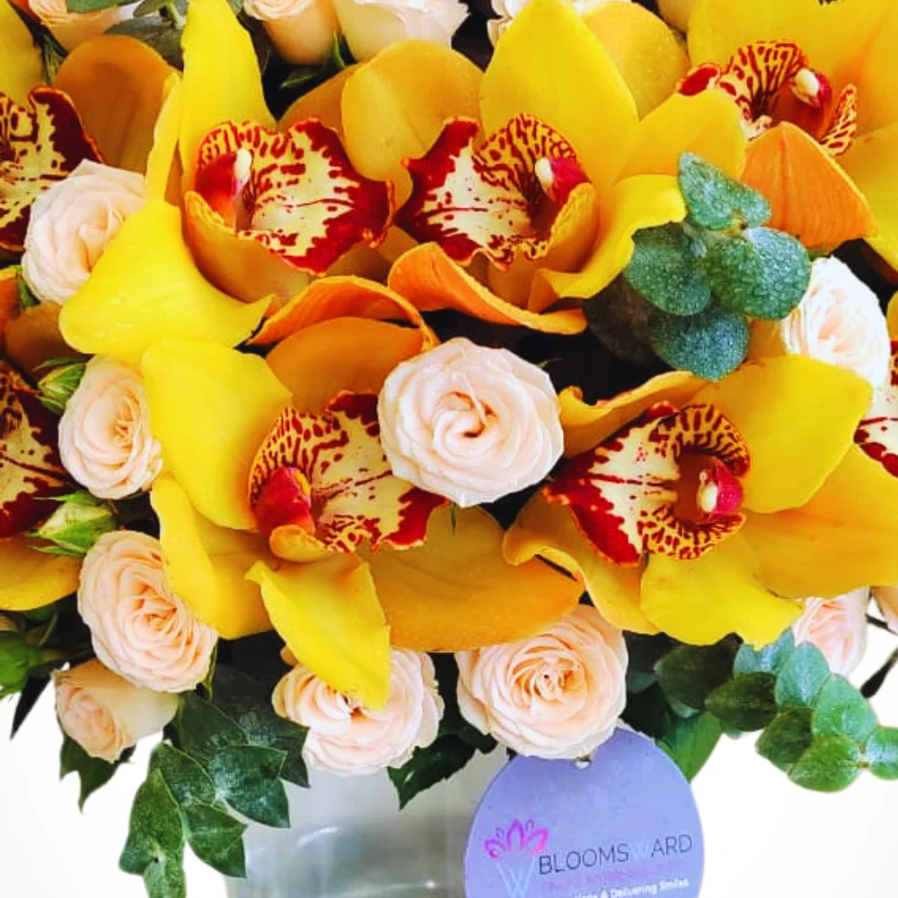 Sunburst - Yellow & Orange mix