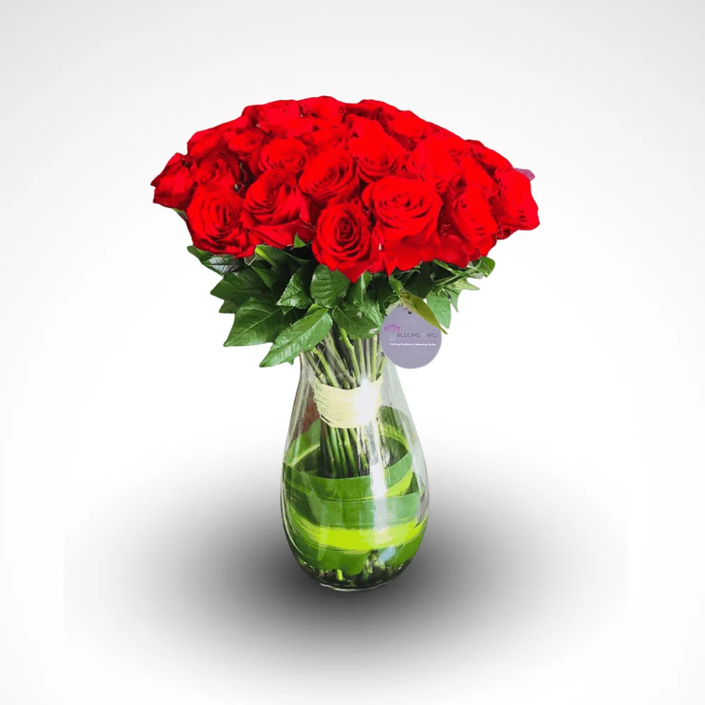 Message of Love - 2 Dozen Rose