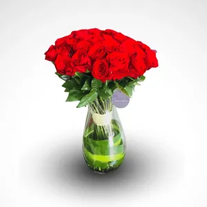 Message of Love - 2 Dozen Rose