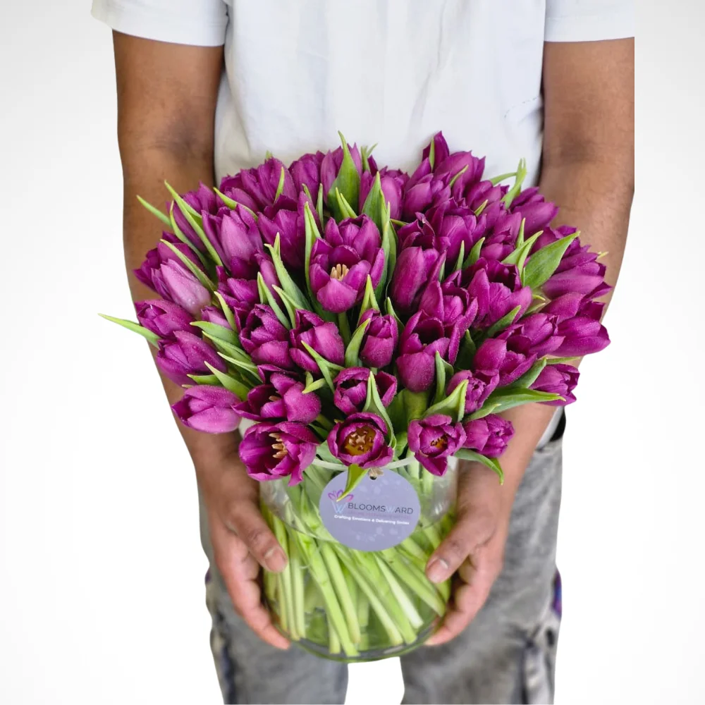 Musical Night - 50 Tulips