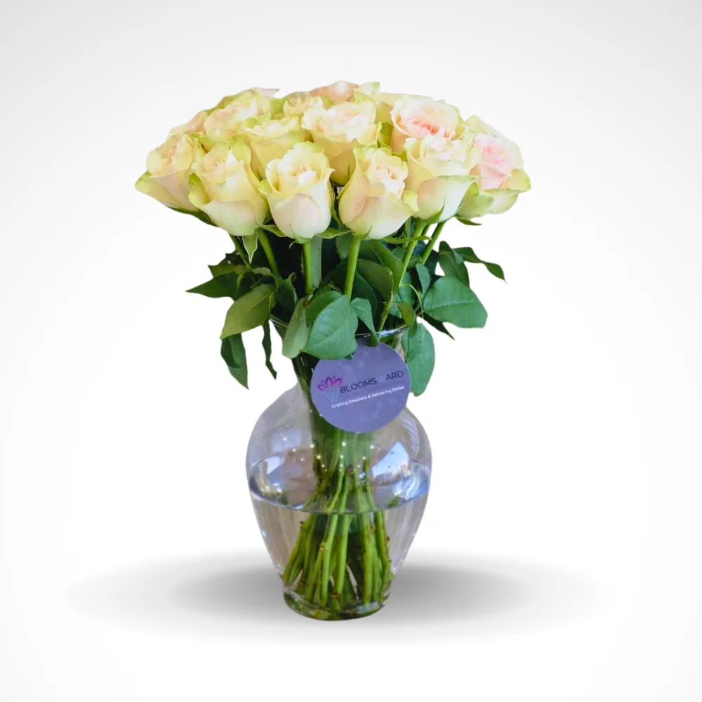 Say It With Rose - 20 Rose