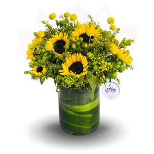 Glaring Yellow Sunflower