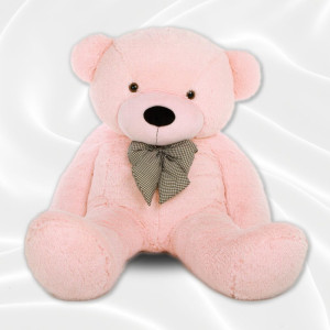 Pink Teddy